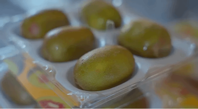 J9集团|国际站官网