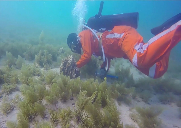 J9集团|国际站官网